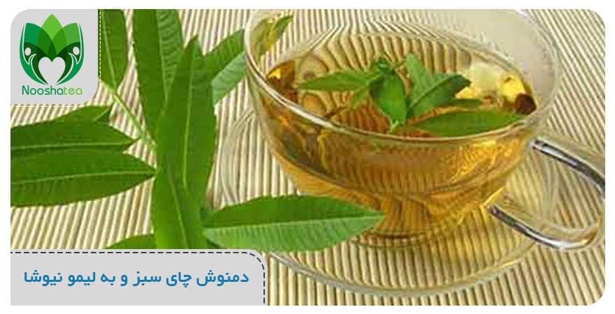 دمنوش چای سبز و به لیمو نیوشا | کیسه ای؛ خواص دمنوش چای سبز و به لیمو ...