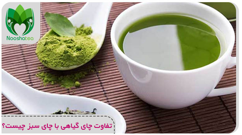 تفاوت چای گیاهی با چای سبز چیست؟