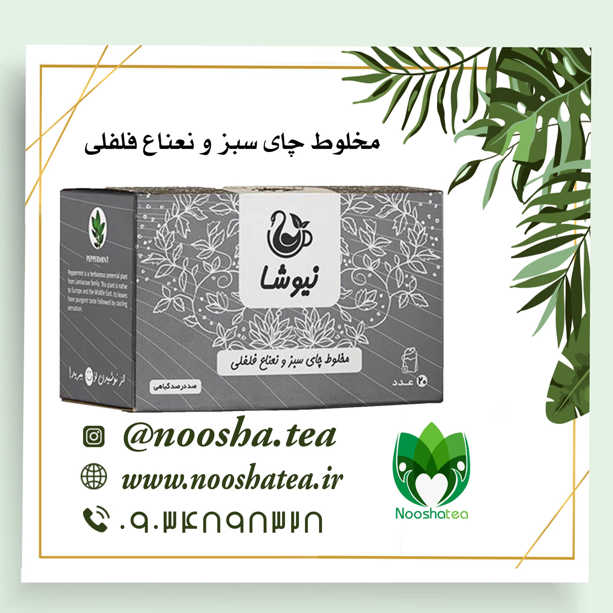 دمنوش چای سبز و نعناع فلفلی کیسه ای نیوشا+خواص دمنوش نعناع فلفلی نیوشا