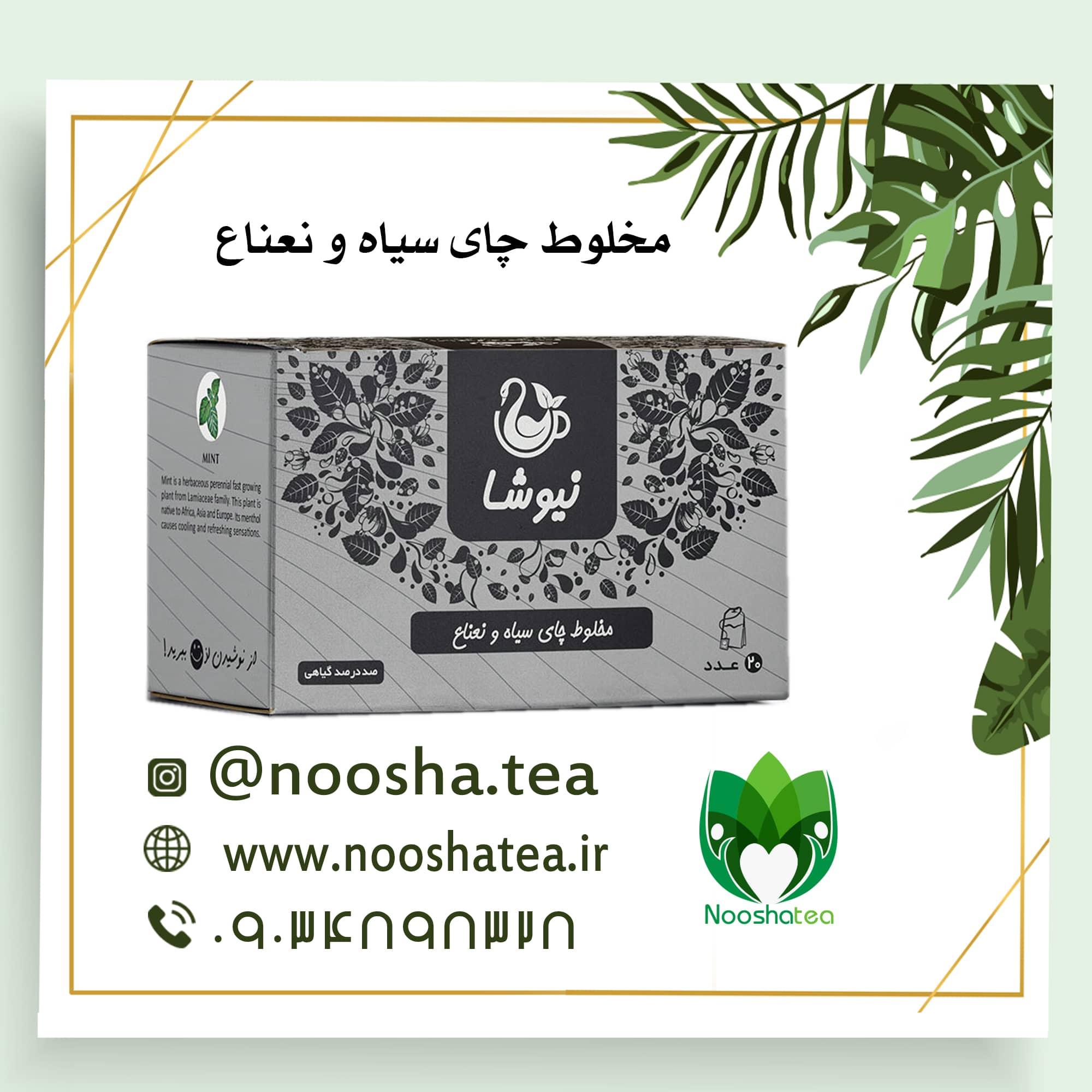دمنوش چای سیاه و نعناع نیوشا | 20 عددی