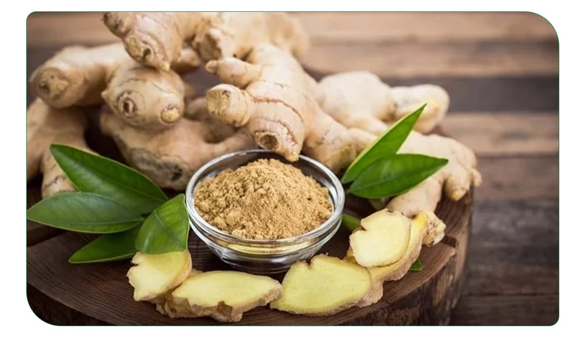 بهترین داروی گیاهی برای خشکی مفاصل