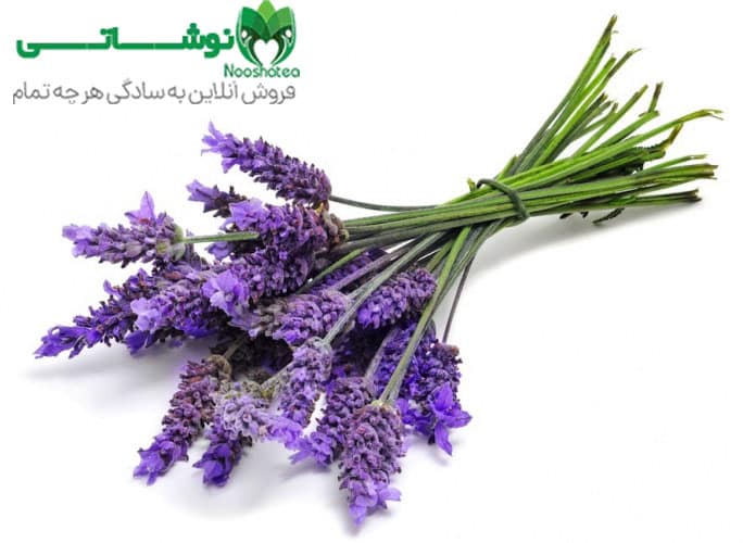 مهم ترین خواص اسطوخودوس