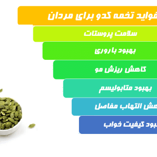 تخمه کدو فواید بسیاری برای مردان داشته که مهم ترین آن، کمک به سلامت پروستات است. علاوه بر آن مصرف تخمه کدو به تقویت حافظه، باروری، بهبود متابولیسم نیز کمک می کند.