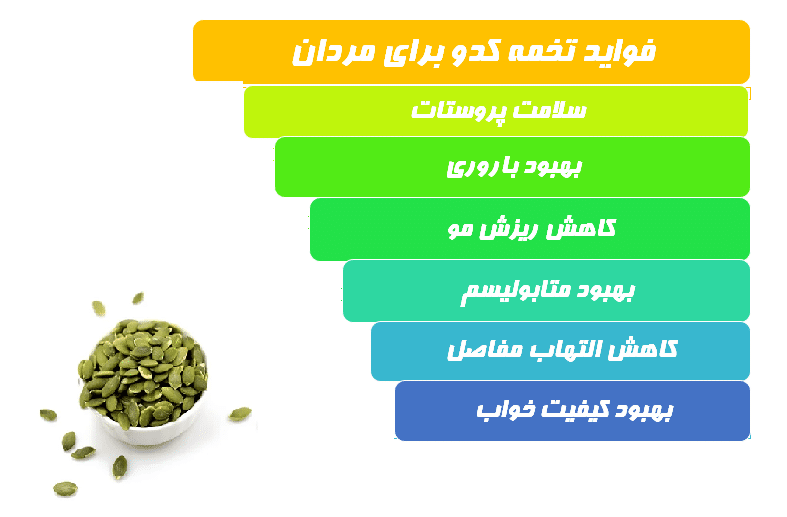 تخمه کدو فواید بسیاری برای مردان داشته که مهم ترین آن، کمک به سلامت پروستات است. علاوه بر آن مصرف تخمه کدو به تقویت حافظه، باروری، بهبود متابولیسم نیز کمک می کند.