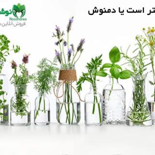 عرقیات بهتر است یا دمنوش