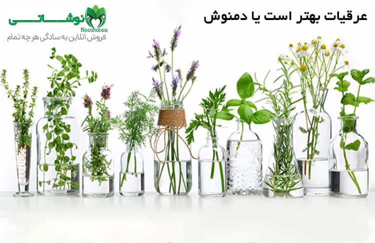 عرقیات بهتر است یا دمنوش
