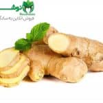 نوشیدن چای زنجبیل به بهبود عملکرد دستگاه گوارش کمک کرده و می‌تواند در تسکین دردهای مفصلی موثر باشد. همچنین، این نوشیدنی با خواص ضدالتهابی خود به تقویت سیستم ایمنی بدن کمک می‌کند.