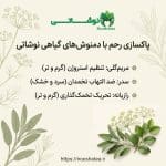 بهترین دمنوش برای پاکسازی رحم