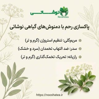 بهترین دمنوش برای پاکسازی رحم