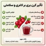 فواید و مضرات کرن بری