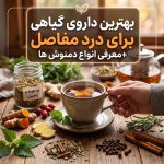بهترین داروی گیاهی برای درد مفاصل