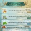 30 تا از بهترین دمنوش برای سرما خوردگی