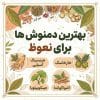 بهترین دمنوش ها برای نعوظ