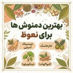 بهترین دمنوش ها برای نعوظ
