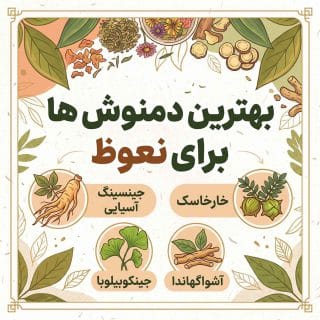 بهترین دمنوش ها برای نعوظ