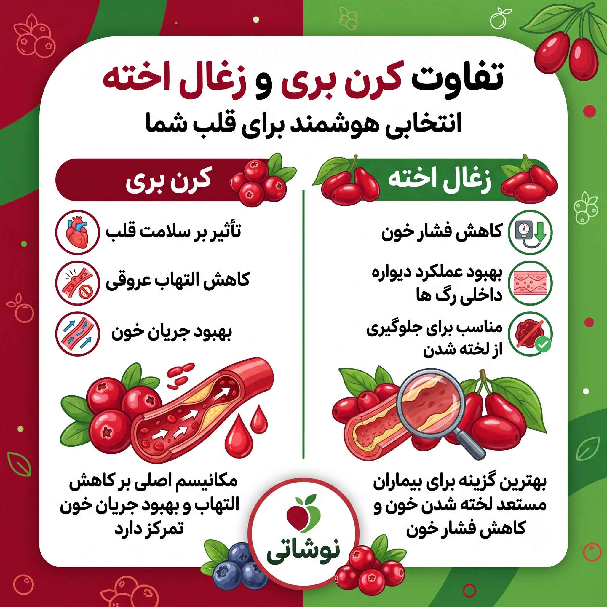 تفاوت کرن بری و زغال اخته