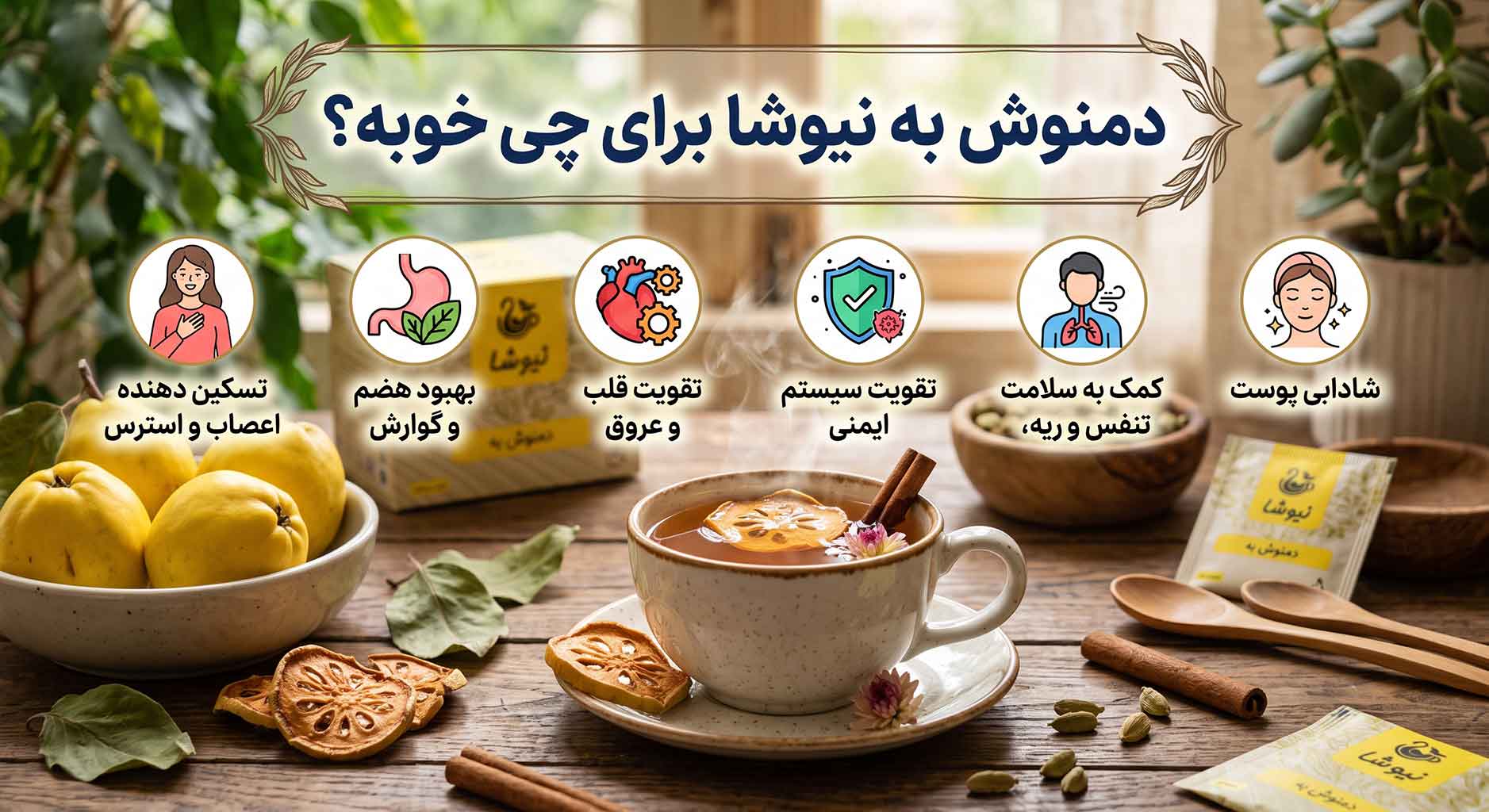 دمنوش به نیوشا برای چی خوبه؟